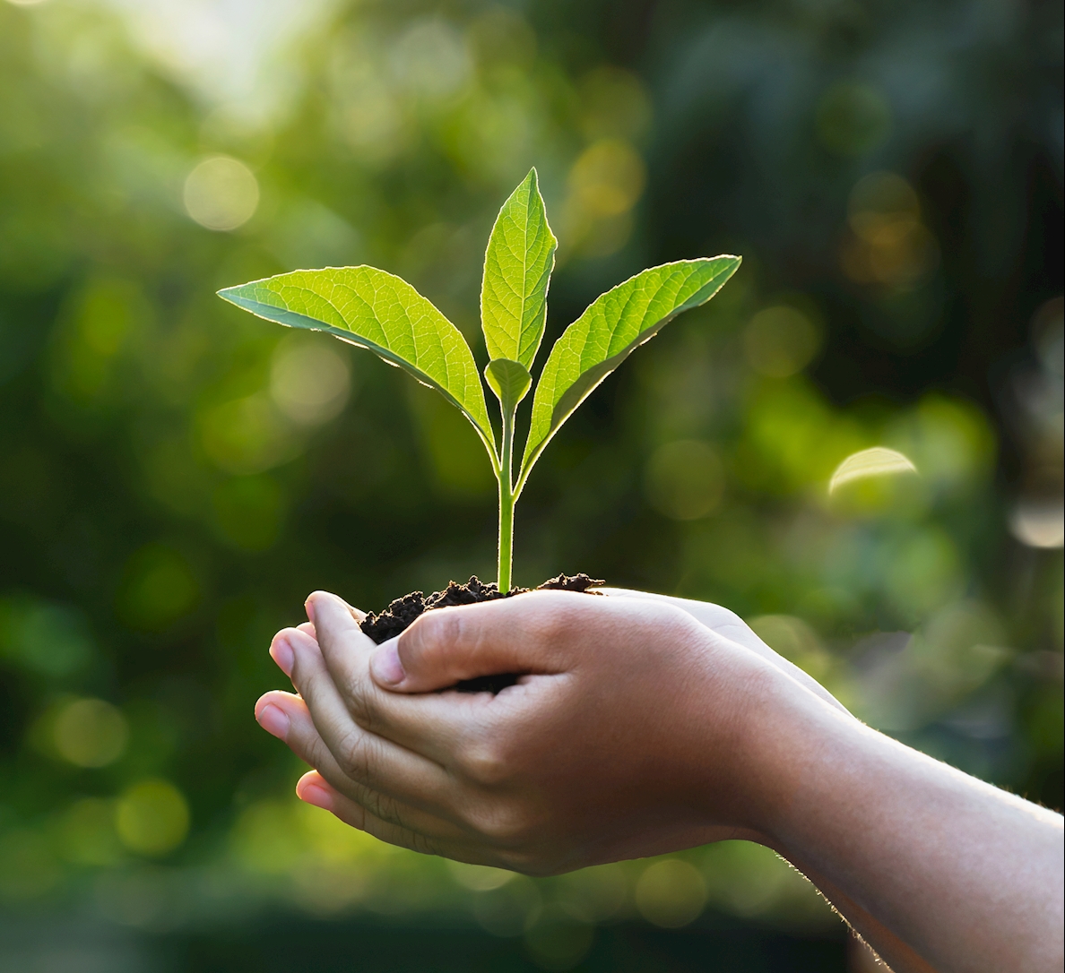 General Electricity Saving Tips