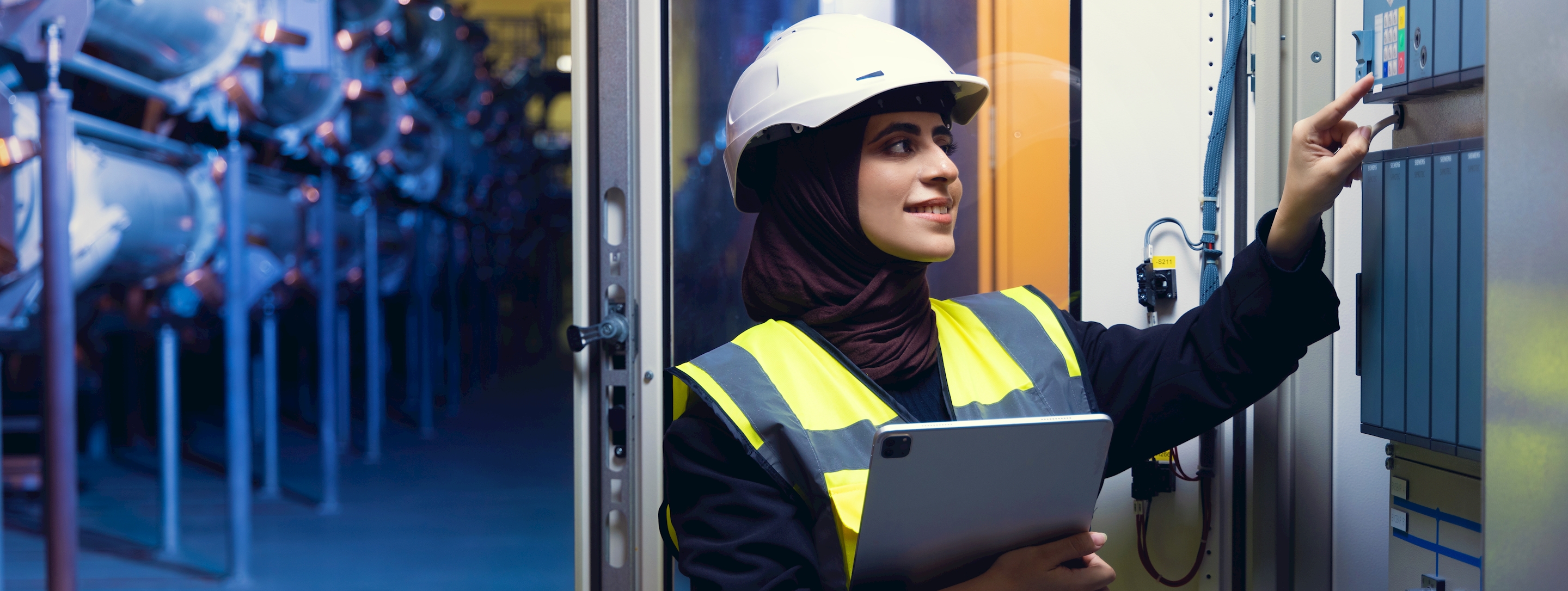 Electricity Transmission