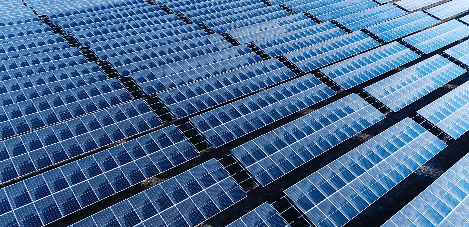 المشاريع المستقبلية 