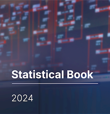 Statistical Book 2024