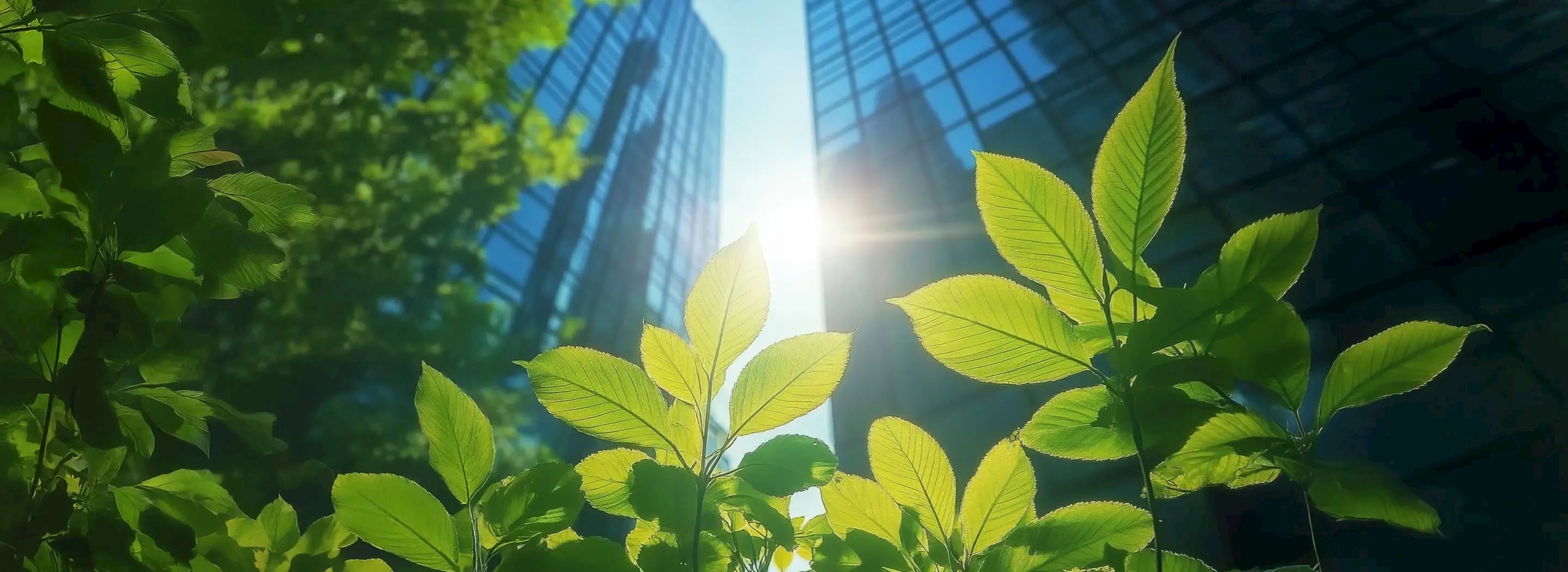 Social Responsibility