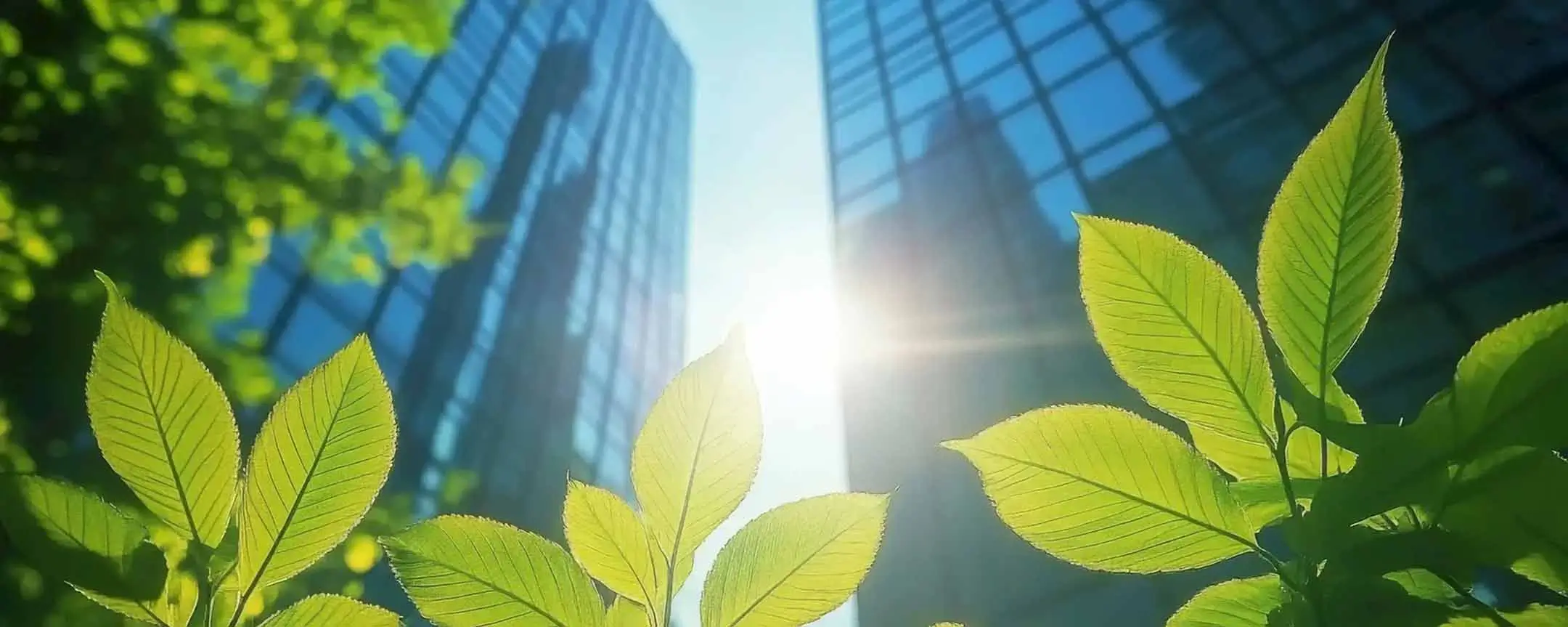 Social Responsibility