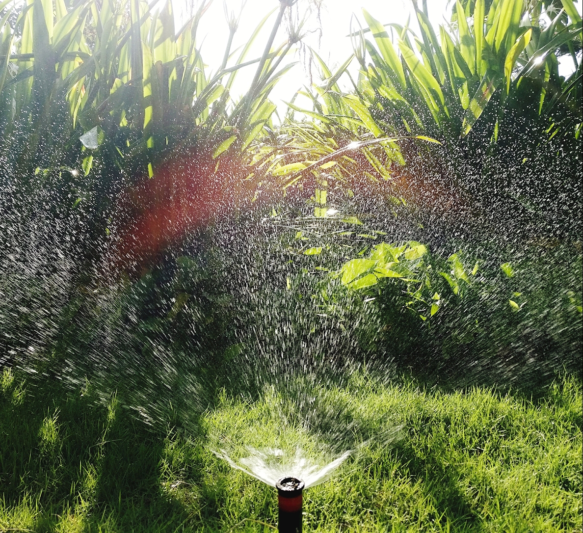 Use an Irrigation System for Your Garden